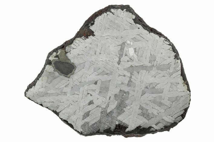 Etched Toluca Iron Meteorite ( g) Slice - Mexico #346491